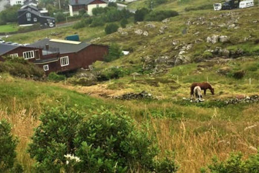 Hyggelig Lejlighed Ved Aen - Flot Udsigt Tórshavn Exteriér fotografie